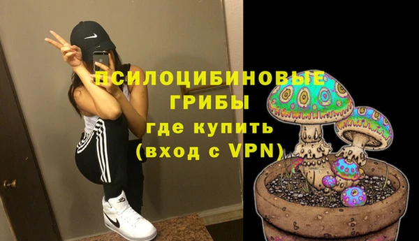 твердый Алексин