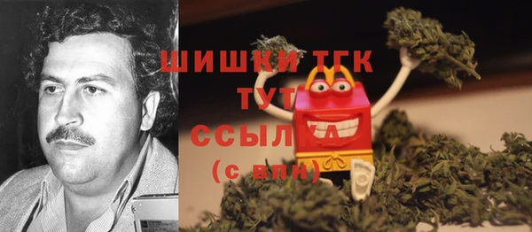 твердый Алексин